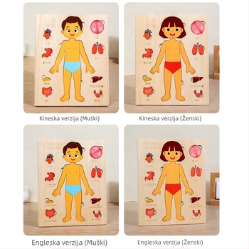Drveni puzzle organa ljudskog tijela, 4–6 godina, Xundai, prilagodba uzoraka