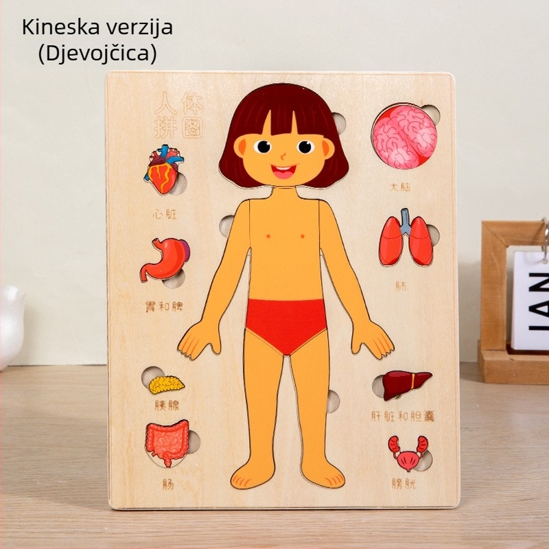 Drveni puzzle organa ljudskog tijela, 4–6 godina, Xundai, prilagodba uzoraka