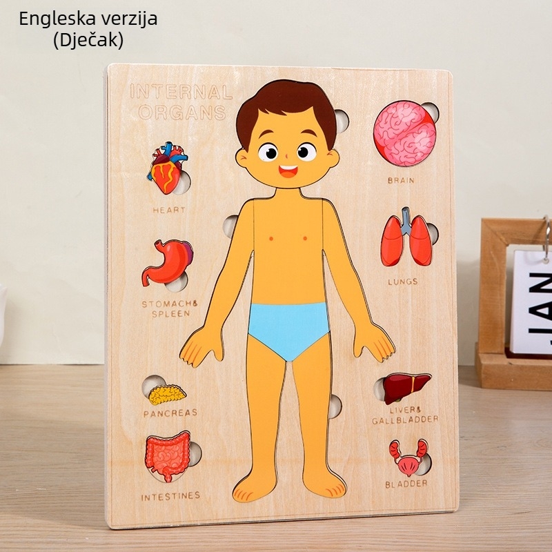 Drveni puzzle organa ljudskog tijela, 4–6 godina, Xundai, prilagodba uzoraka