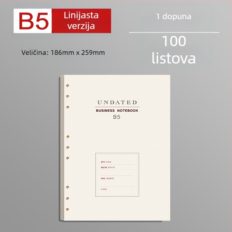 B5 zamjensko jezgro za listove s slobodnim listovima i debelim crtama, 100 listova, kompatibilno s 6 i 9 rupica, unutarnje stranice od Forest papira