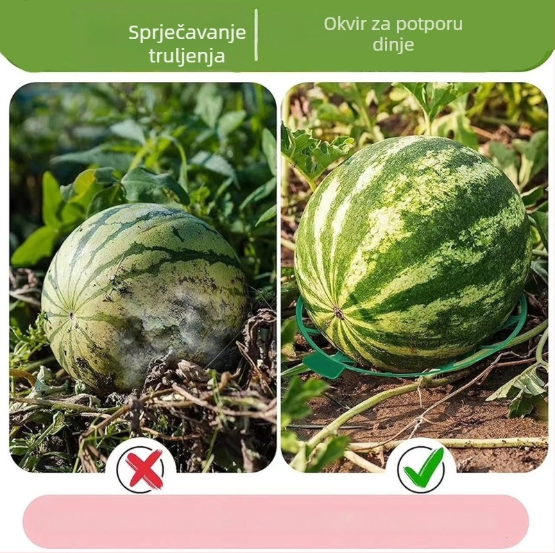 Plastična posuda za sadnju dinje i voća sa čvrstom podrškom za vrt