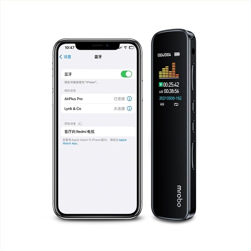 RV19 Glasovni rekordér s redukcijom šuma, prenosni, oko 30 sati snimanja, MP3/WAV, TF kartica, 2 mikrofona