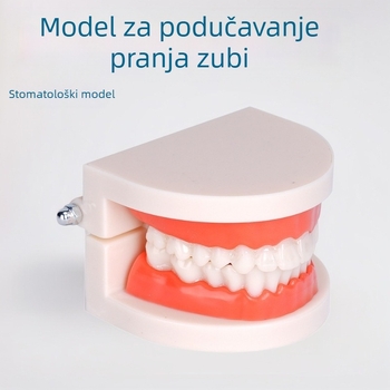 Dentalni model za učenje za odrasle, s uklonjivom strukturom proteze i modelom za pripremu proteza