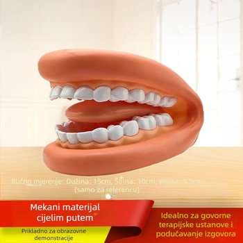 Dentalni poučni model za usnu šupljinu – alat za stomatološko obrazovanje za djecu s demonstracijom četkanja zuba (Broj proizvoda 1001188344; Kategorija: Other; Funkcija: Other; Materijal: Other)