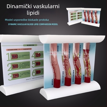 Dinamički vaskularni model od plastike s visoko gustoćnim začepljenjem i trombom plakova – nastavnički model