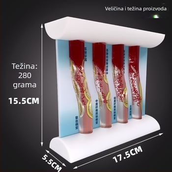 Dinamički vaskularni model od plastike s visoko gustoćnim začepljenjem i trombom plakova – nastavnički model