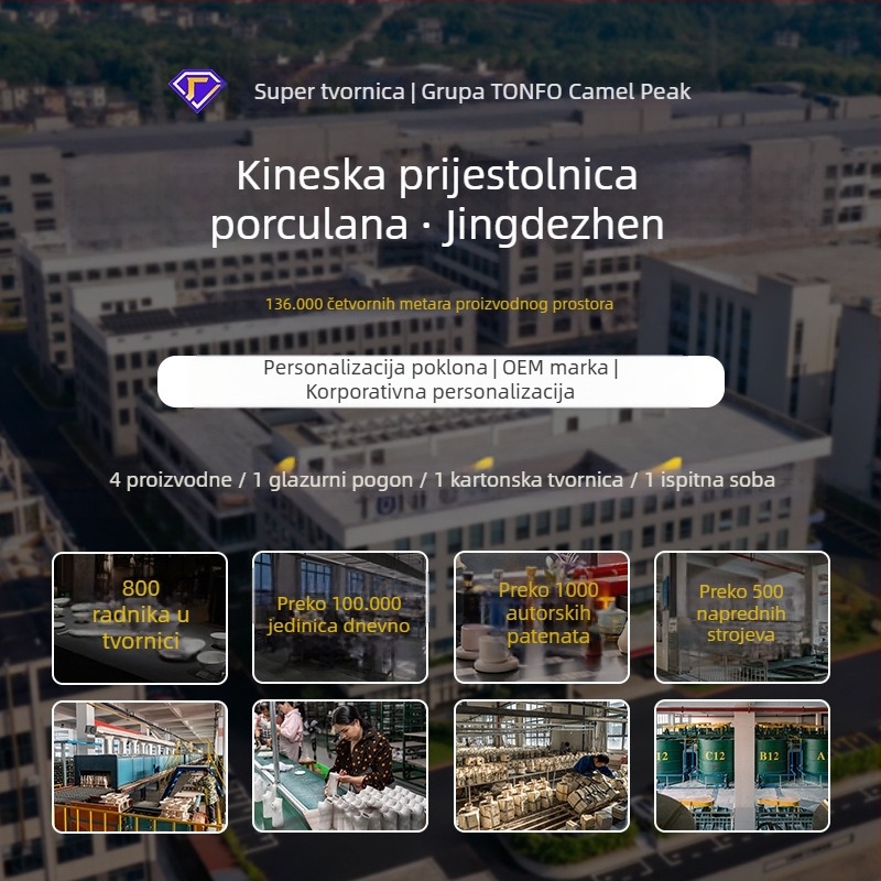 Porcelanska posuda za kućne ljubimce s visokim nogama, dizajn protiv preokreta i nagnut otvor; prilagodba uz sliku