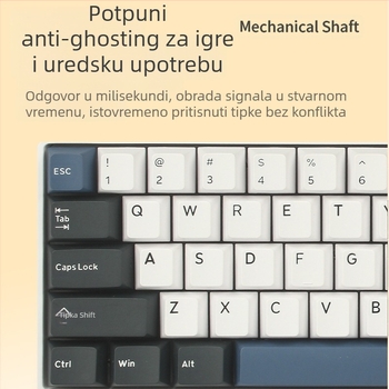 Mehanička tipkovnica, 99 tipki, USB-C, Bluetooth 2.4G, RGB pozadinsko osvjetljenje, dizajn s dvostrukim krilima