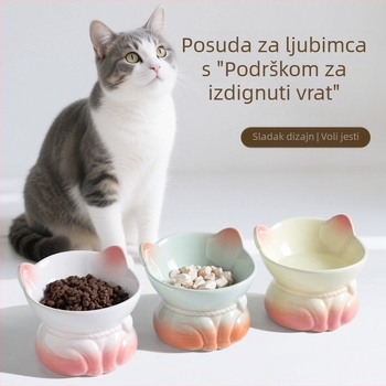 Gradijentno keramičko zdjelice za mačke za hranjenje i vodu