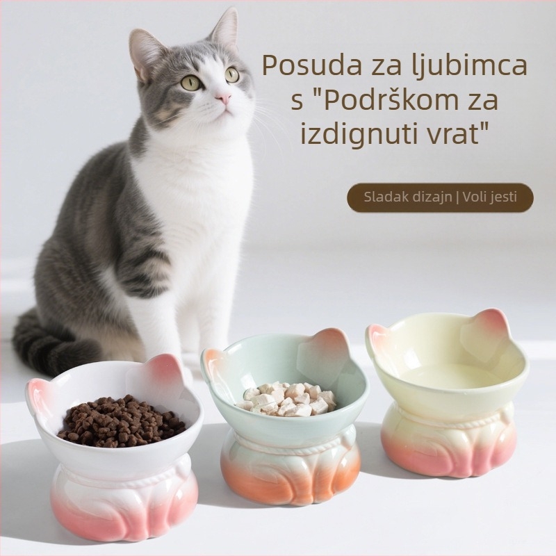 Gradijentno keramičko zdjelice za mačke za hranjenje i vodu