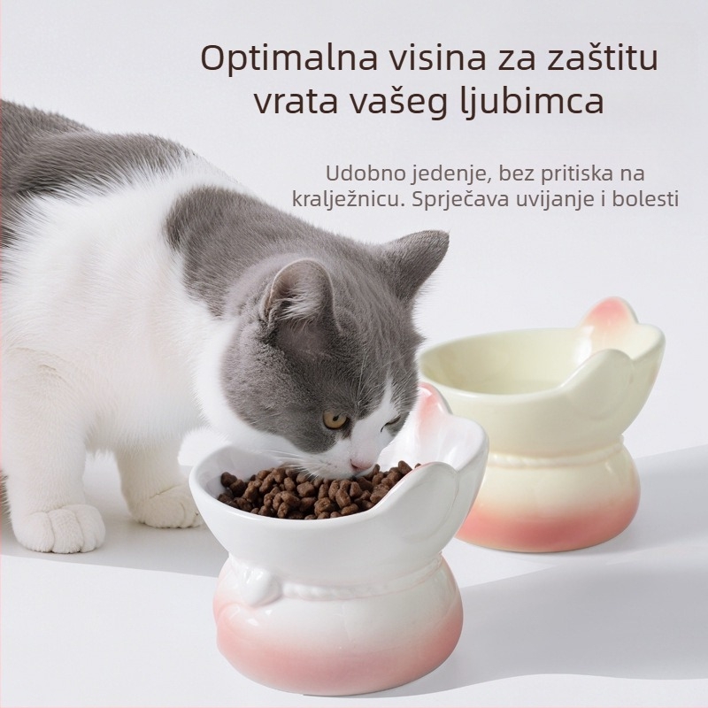 Gradijentno keramičko zdjelice za mačke za hranjenje i vodu
