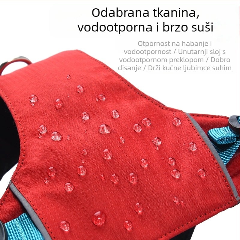 Set za psa - kaiš i harness - lagan, prozračan, ne povlači - za male pse, šetnje na otvorenom