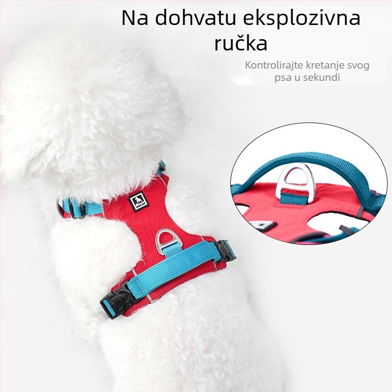 Set za psa - kaiš i harness - lagan, prozračan, ne povlači - za male pse, šetnje na otvorenom