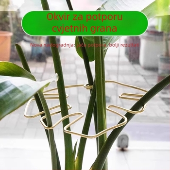Monstera držač za potporu šipke – hidroponsko oblikovanje biljke
