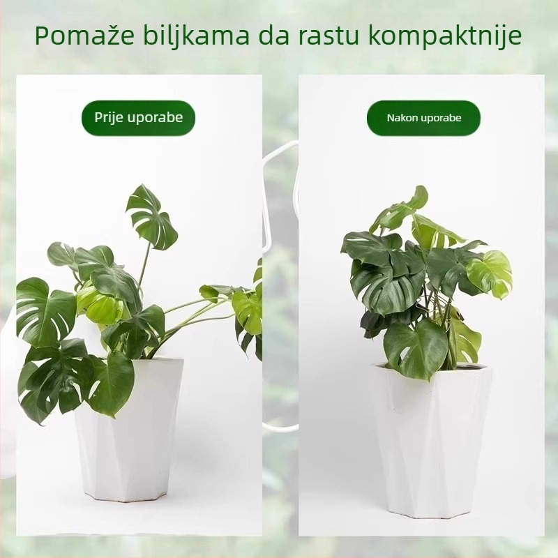 Monstera držač za potporu šipke – hidroponsko oblikovanje biljke