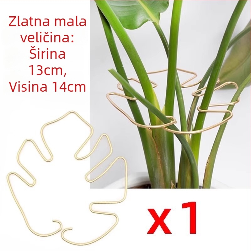 Monstera držač za potporu šipke – hidroponsko oblikovanje biljke