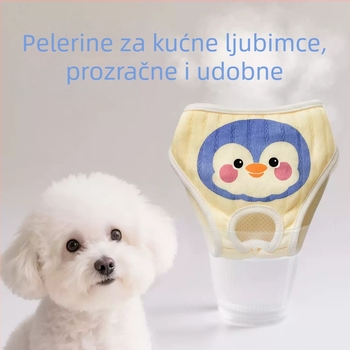 Pantalone za pse tijekom menstrualnog razdoblja – za ženke, higijenski ulošci i zaštitne hlače