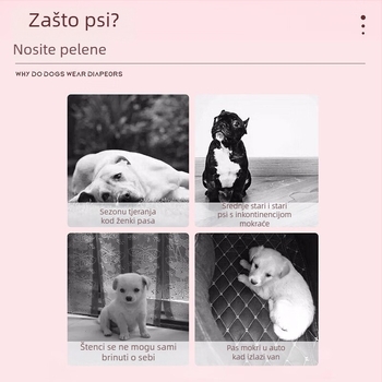 Pelene za mačke za mužjake i ženke, fiziološke hlače za mačke, hlače protiv parenja, donje rublje protiv trudnoće