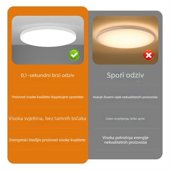 LED stropna svjetiljka sa senzorom i glasovnim upravljanjem – za hodnik, stepenice i ulaz
