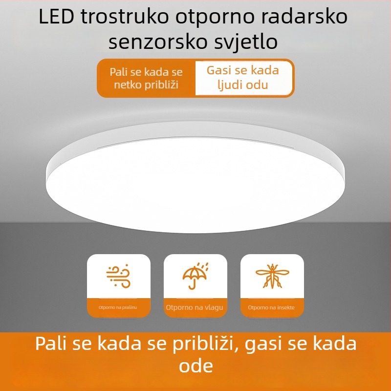 LED stropna svjetiljka sa senzorom i glasovnim upravljanjem – za hodnik, stepenice i ulaz