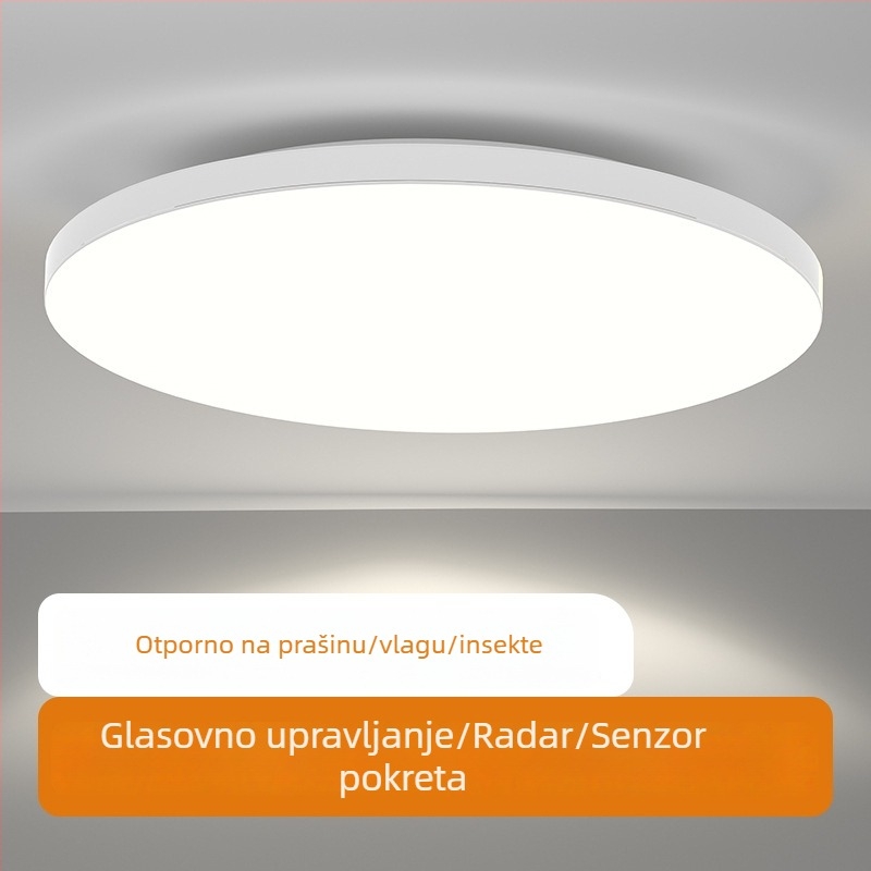 LED stropna svjetiljka sa senzorom i glasovnim upravljanjem – za hodnik, stepenice i ulaz