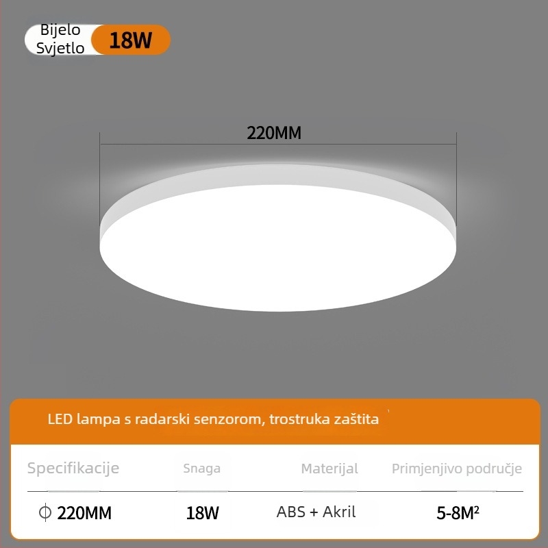 LED stropna svjetiljka sa senzorom i glasovnim upravljanjem – za hodnik, stepenice i ulaz