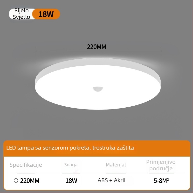 LED stropna svjetiljka sa senzorom i glasovnim upravljanjem – za hodnik, stepenice i ulaz