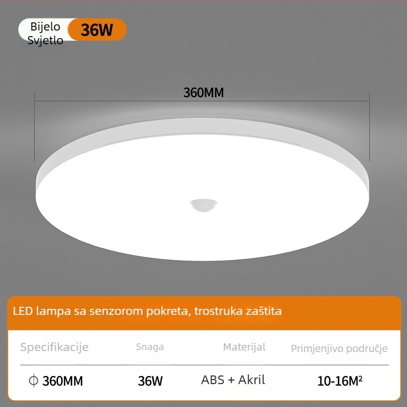 LED stropna svjetiljka sa senzorom i glasovnim upravljanjem – za hodnik, stepenice i ulaz