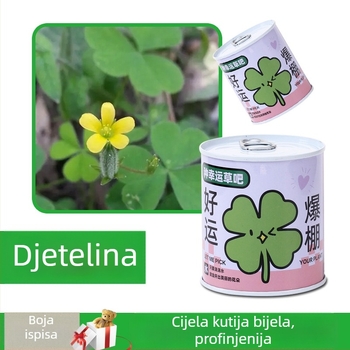 Desktop set mini biljaka u metalnoj kutiji sa sjemenkama suncokreta, jagodama, rajčicama i djetelinom — lako za uzgoj, mala njega; savršen poklon za učenike.