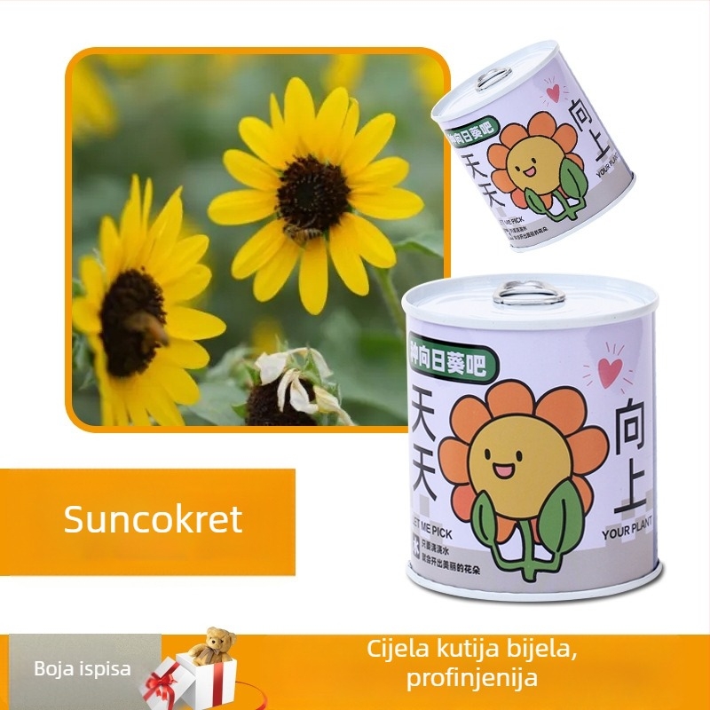 Desktop set mini biljaka u metalnoj kutiji sa sjemenkama suncokreta, jagodama, rajčicama i djetelinom — lako za uzgoj, mala njega; savršen poklon za učenike.