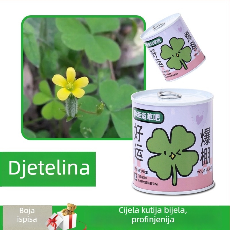 Desktop set mini biljaka u metalnoj kutiji sa sjemenkama suncokreta, jagodama, rajčicama i djetelinom — lako za uzgoj, mala njega; savršen poklon za učenike.