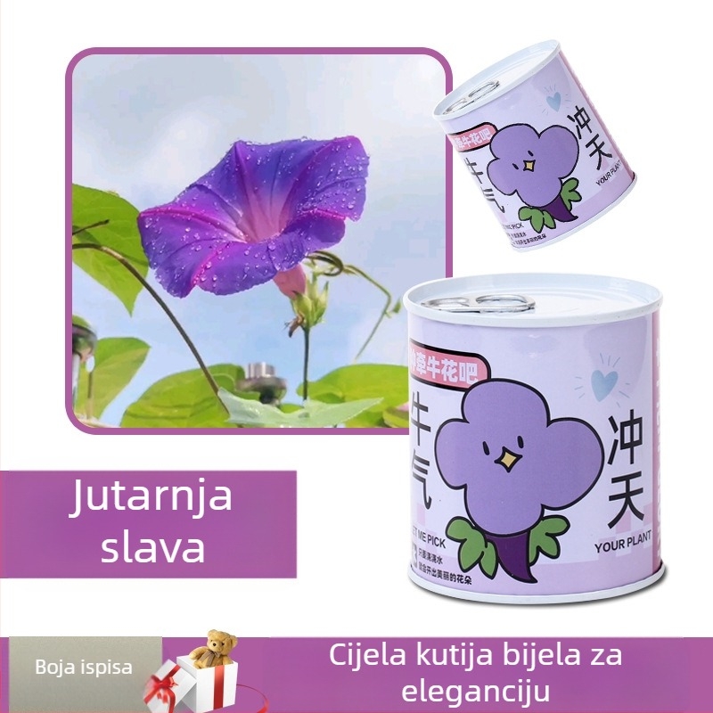 Desktop set mini biljaka u metalnoj kutiji sa sjemenkama suncokreta, jagodama, rajčicama i djetelinom — lako za uzgoj, mala njega; savršen poklon za učenike.