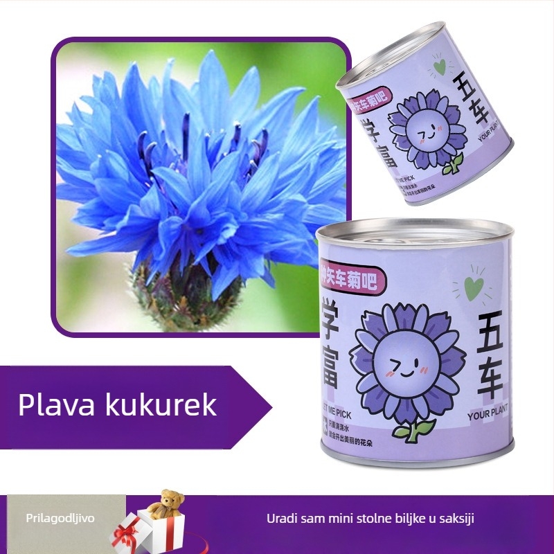 Desktop set mini biljaka u metalnoj kutiji sa sjemenkama suncokreta, jagodama, rajčicama i djetelinom — lako za uzgoj, mala njega; savršen poklon za učenike.
