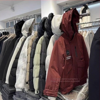 Muška zimska jakna s kačjim perjem, ležernog kroja, kapuljača, zatvarač, sadržaj perja 91–95%