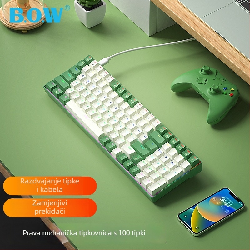 B.O.W Hot-Swappable mehanička tipkovnica sa 100 tipki, žično USB povezivanje, RGB pozadinsko osvjetljenje (G100U)