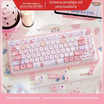 Set kapica za tipke za mehaničku tipkovnicu, petostruka sublimacija, PBT materijal, 112/120 tipki, prilagodljiv, kompatibilan s većinom mehaničkih tipkovnica