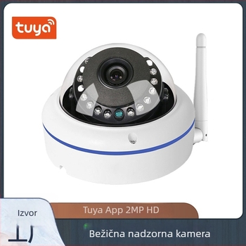 Loosacam WiFi sferna kamera otporna na eksplozije, detekcija ljudi, HD noćni nadzor, unutarnja komercijalna sigurnosna kamera