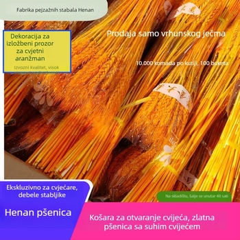 Sušena cvjetna kompozicija s ječmom — Marka: Big Banyan Tree Landscape Materials Factory; Materijal: Sušeno i očuvano cvijeće; Vrsta: Ječam