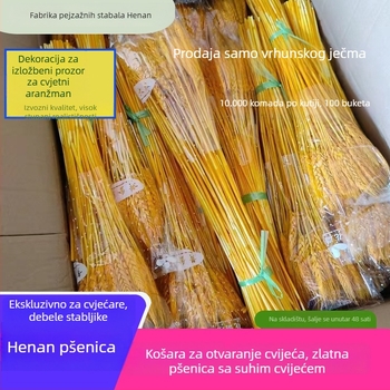 Sušena cvjetna kompozicija s ječmom — Marka: Big Banyan Tree Landscape Materials Factory; Materijal: Sušeno i očuvano cvijeće; Vrsta: Ječam