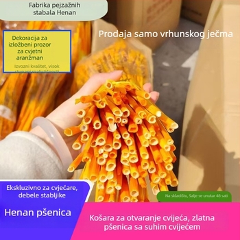 Sušena cvjetna kompozicija s ječmom — Marka: Big Banyan Tree Landscape Materials Factory; Materijal: Sušeno i očuvano cvijeće; Vrsta: Ječam