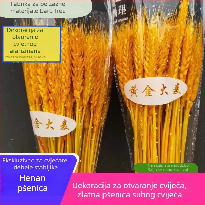 Sušena cvjetna kompozicija s ječmom — Marka: Big Banyan Tree Landscape Materials Factory; Materijal: Sušeno i očuvano cvijeće; Vrsta: Ječam