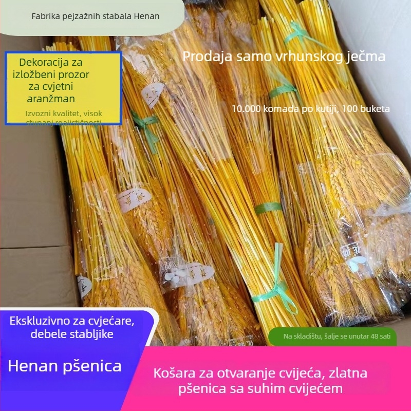 Sušena cvjetna kompozicija s ječmom — Marka: Big Banyan Tree Landscape Materials Factory; Materijal: Sušeno i očuvano cvijeće; Vrsta: Ječam