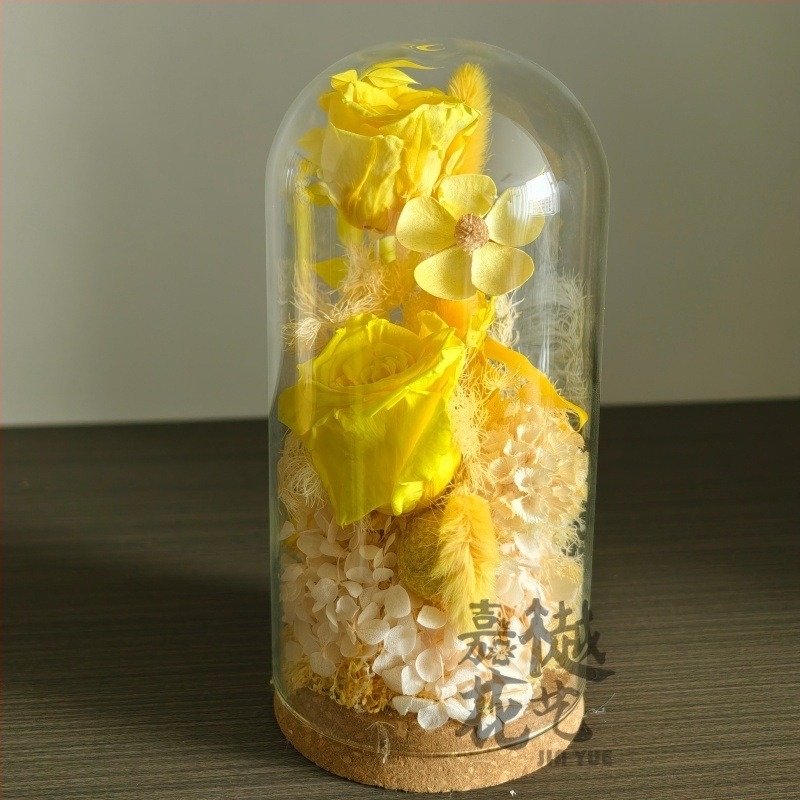 DIY set suhih cvjetova pod staklenom kupolom – Narcissus sorta, paket materijala za team building