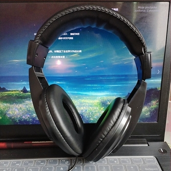 Slušalice za glavu, žične, 3,5 mm priključak, PVC kabel, model 750, sportska namjena