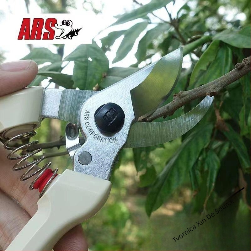 Škare za obrezivanje u vrtu