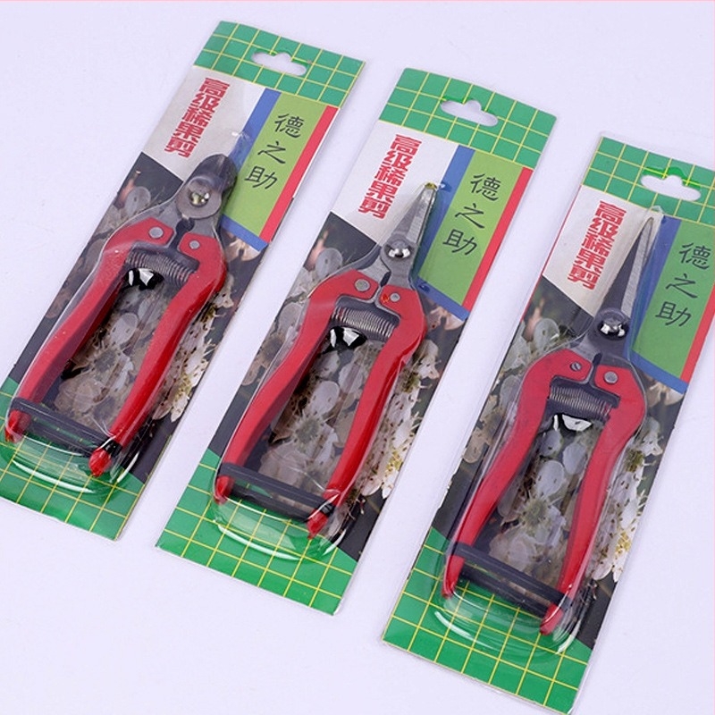 Škare za rezanje voćnih stabala, berba voća, vrtne škare s pravim oštricom i željeznom drškom — Dezhihu