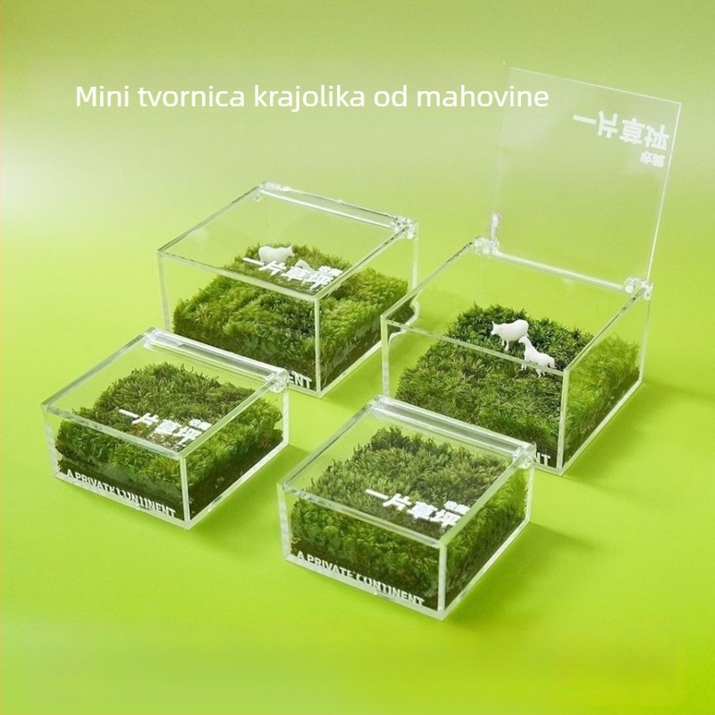 Uredska mikro krajina od mahovine u kutiji — ručno izrađeno, prilagodljivo, materijal mahovina, moguć tisak logotipa