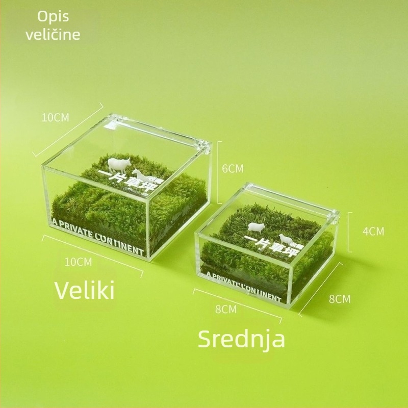 Uredska mikro krajina od mahovine u kutiji — ručno izrađeno, prilagodljivo, materijal mahovina, moguć tisak logotipa