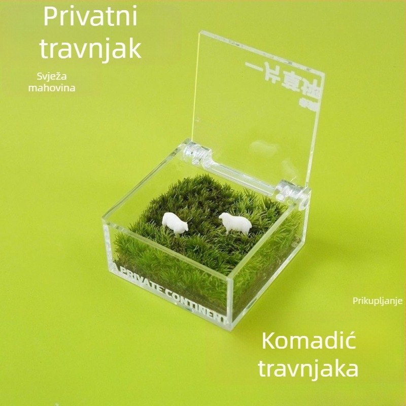 Uredska mikro krajina od mahovine u kutiji — ručno izrađeno, prilagodljivo, materijal mahovina, moguć tisak logotipa