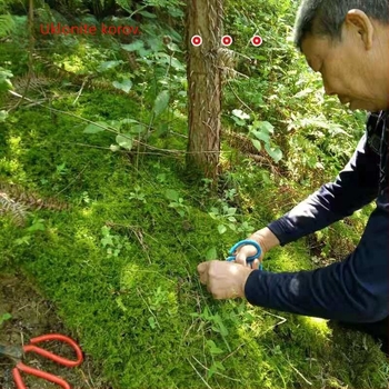 Mahovina bonsai – mini krajolik, Marka Unique, Stil Moderna jednostavnost, Namjena darivanja: reklamni darovi, Uvoz: Ne